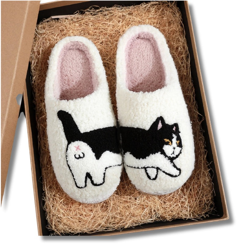 chausson chat