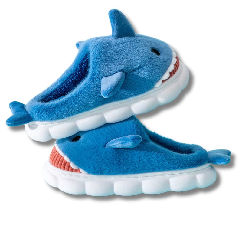 Chausson requin