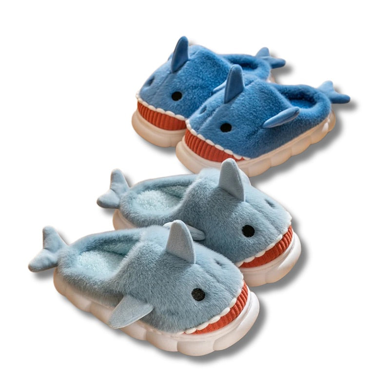 chausson requin adulte