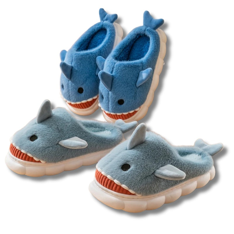 Chausson requin