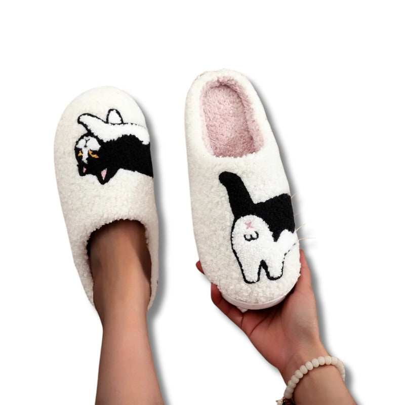 chausson chat
