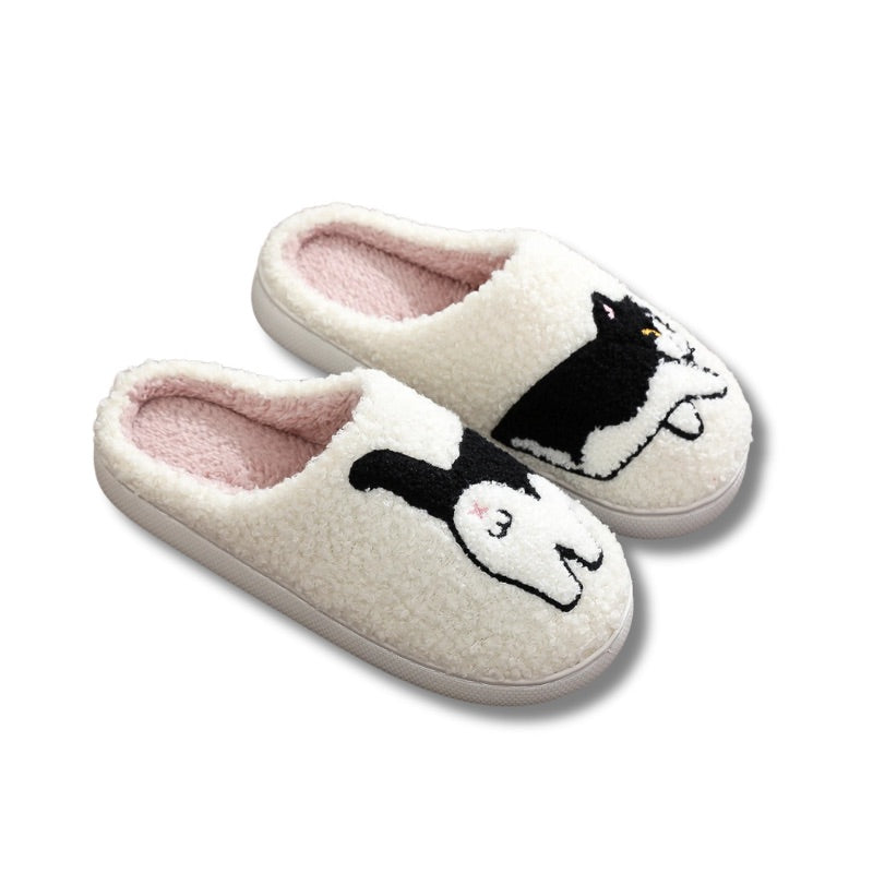 chausson chat