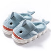 chausson requin adulte